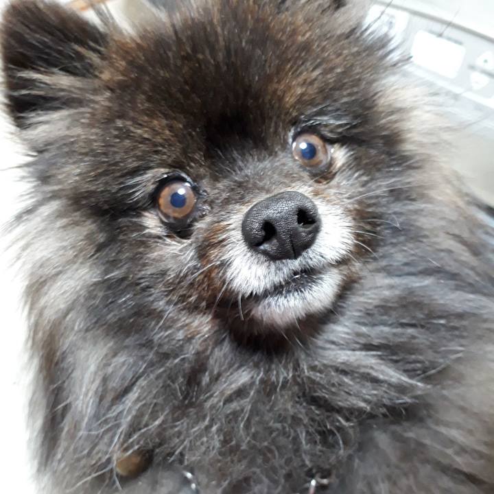 0800b57b ef10 463f b401 b2964d7d8c0f 1518372221306