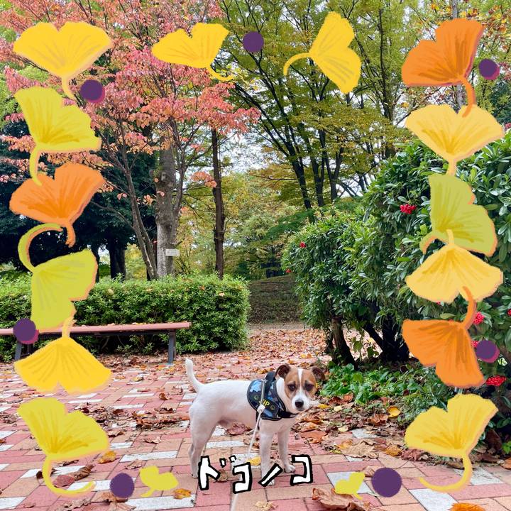 080101a2 f4f2 4f74 ac92 a6aea6e1fef0 1730811202132