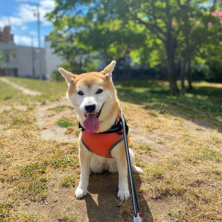 08014094 de15 476c 8878 245f59198af6 1627885405234