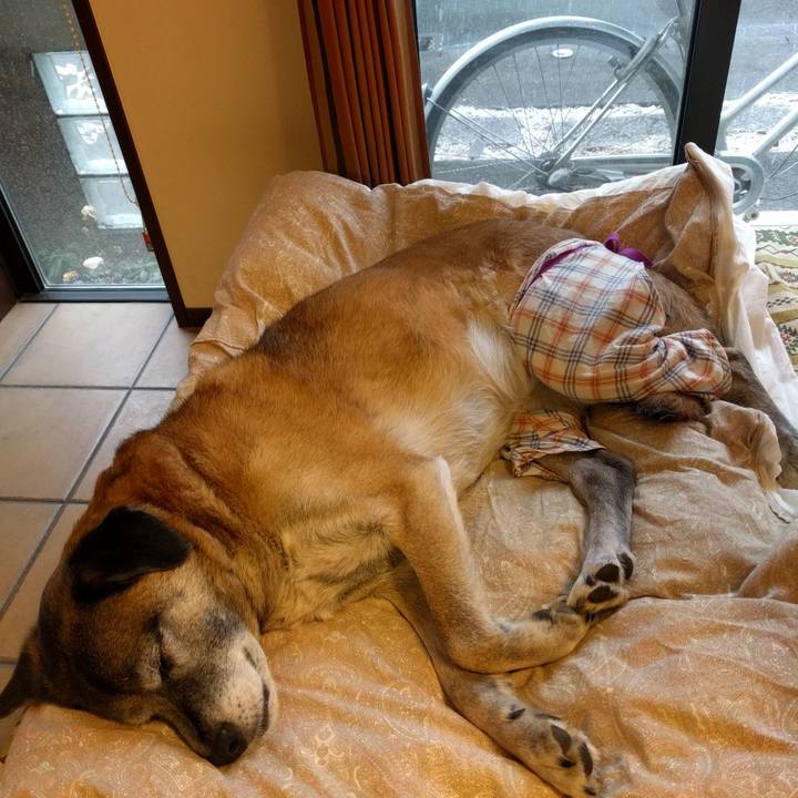 0801d5dc c328 4682 b12b 45cbf1e96fbb 1516591850396