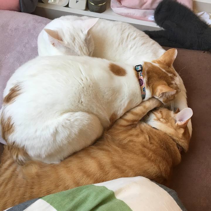 080268ae 19d6 4db9 ac6a cc86ca93b7b5 1547953199691