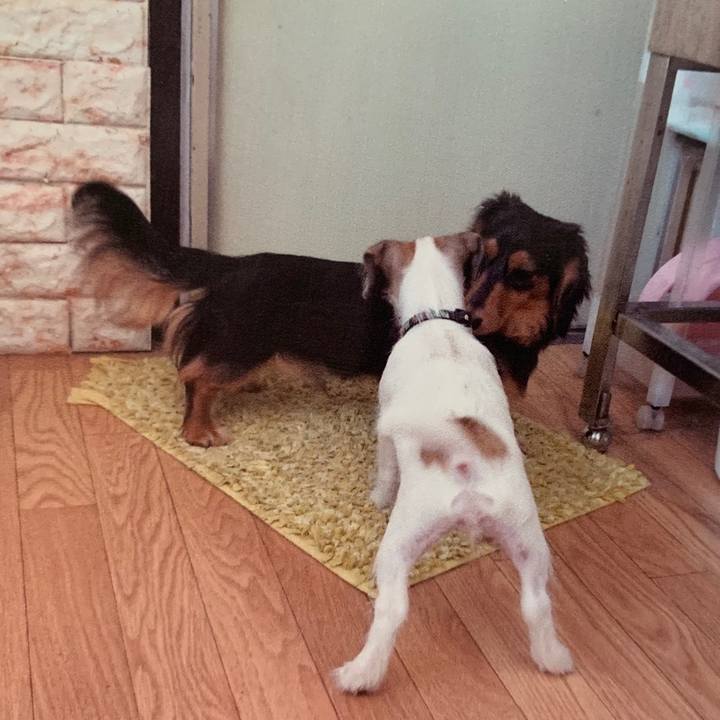 0802a93a 1869 4d7f b13e eb7848586e2f 1561088561125