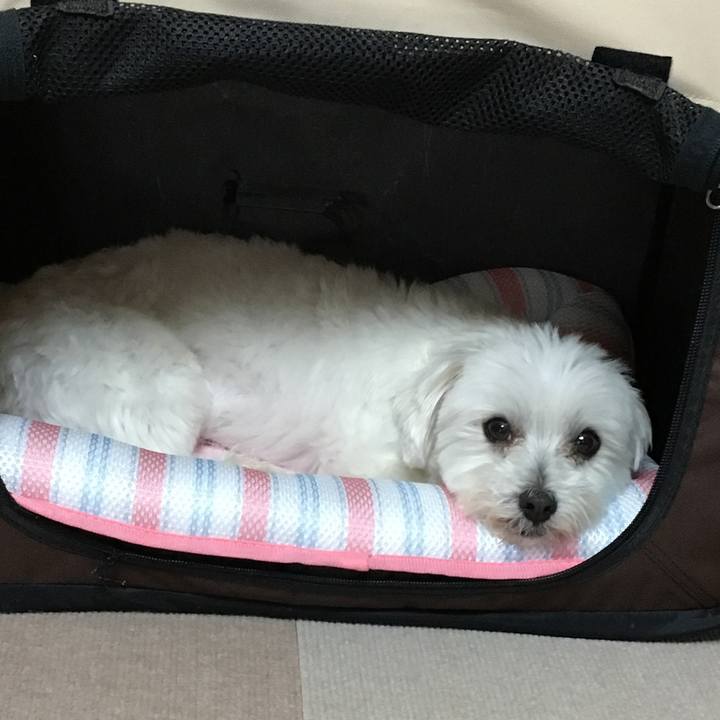 0802bbec 2f9a 4325 b92f 87b013d43279 1561288753476