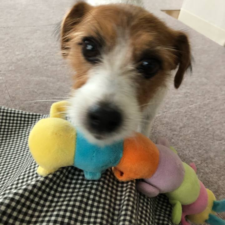 0802e334 fc48 4087 9ccc a745a85f1f77 1534667281608