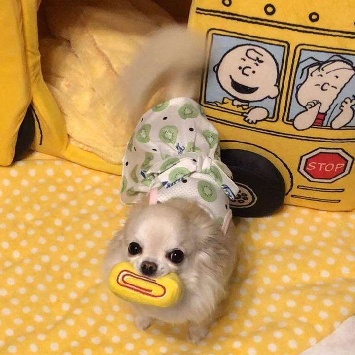 080313e8 dd05 4938 a23e fbec93627df1 1561941729867