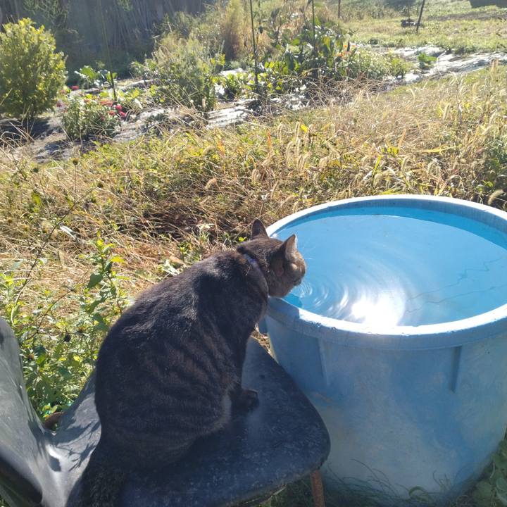 0803f69a d427 4e6e b2f3 fcab7aa2b2ec 1666138937152