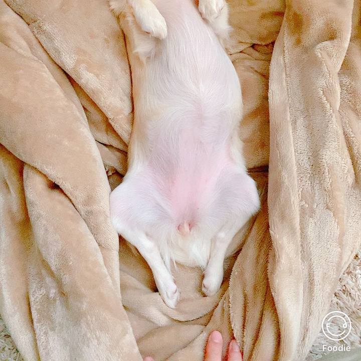 08040e98 31b2 4301 bb29 caa1b8fc157f 1633587832804