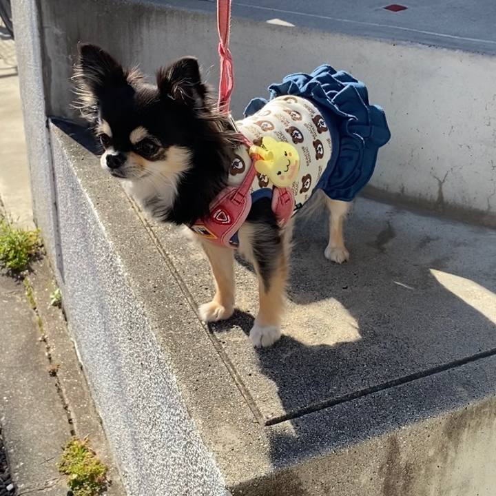 08041a02 781e 4fa5 a377 fb488801dc3c 1606357679443