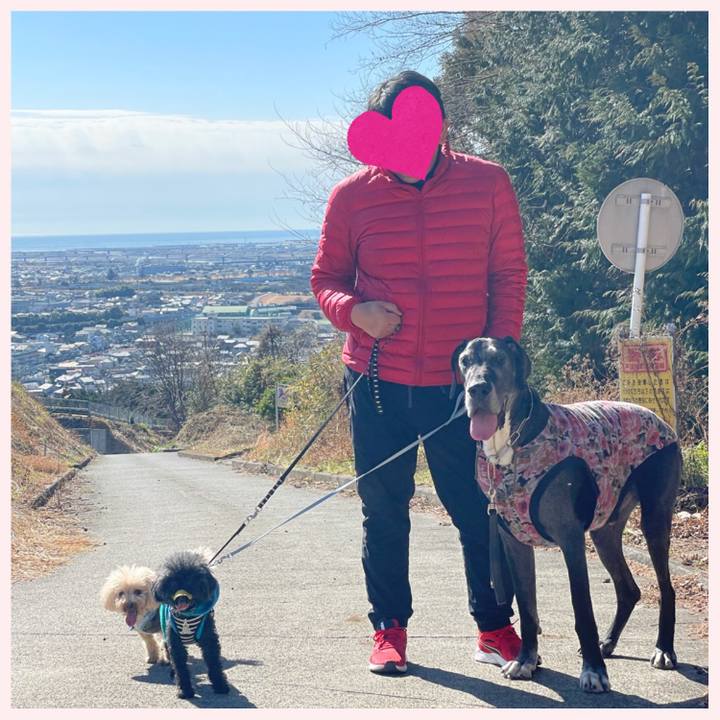 08045001 9b16 4804 a230 d5bd156e27e1 1612586900883