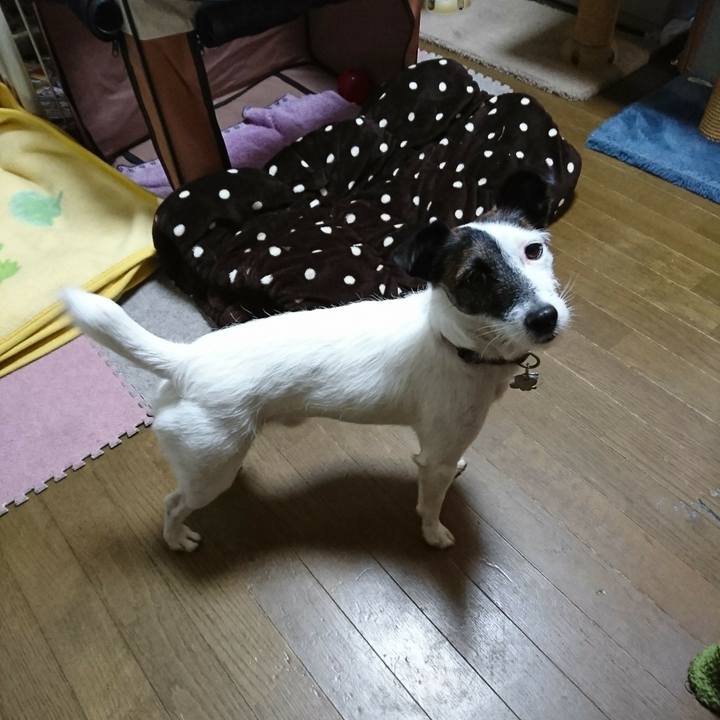 080455ce 67a5 4a36 9a92 0227c9efcce7 1509183500381