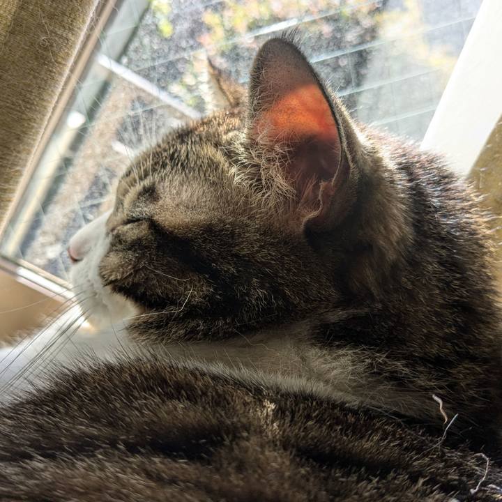 080477b0 488c 4d55 947d 93b527b25629 1734226146383