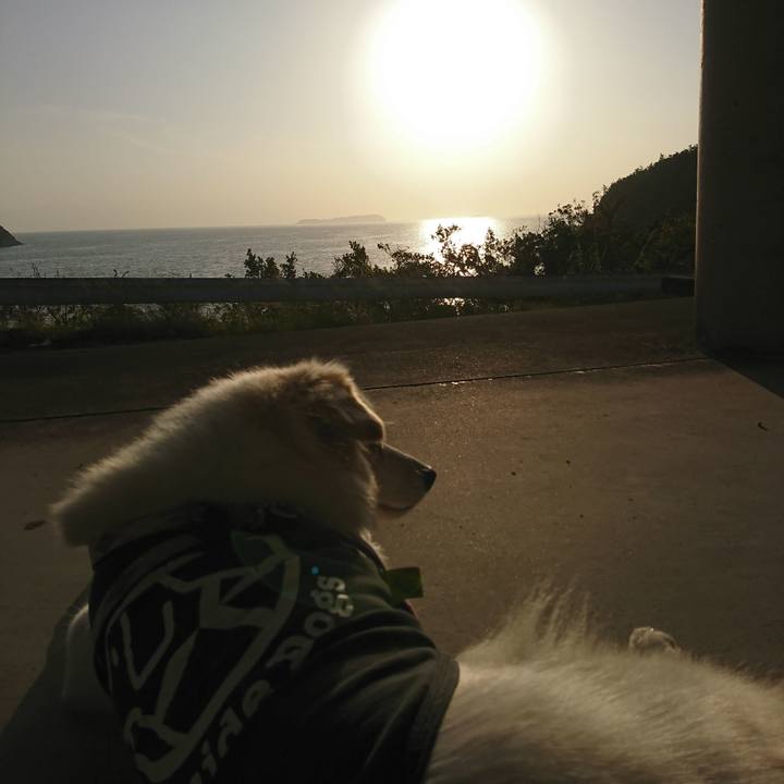 08048bbc 0a7e 4567 95b6 4059568c0f0a 1543560467217