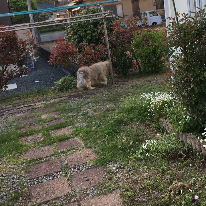 08049110 4cba 4256 9a3b b2e7460fc964 1593354843639