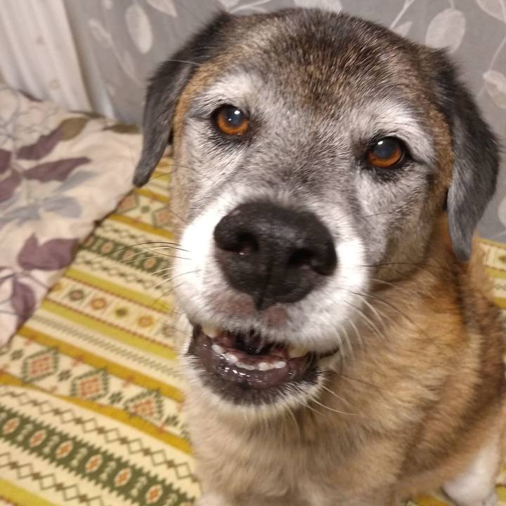 0804c964 717e 4189 9689 83363a46c1f8 1570100459330