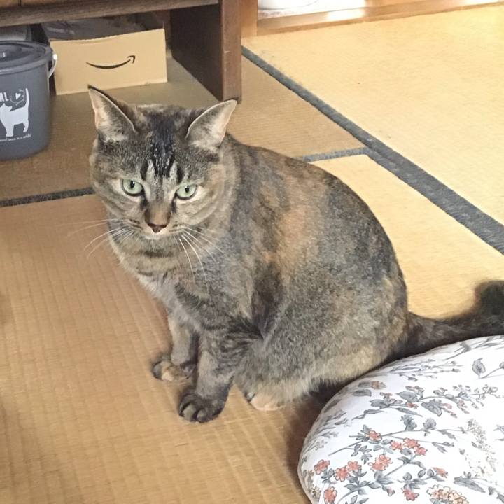 0804ea74 64ab 4f90 acc9 c319f9f77040 1696079141028