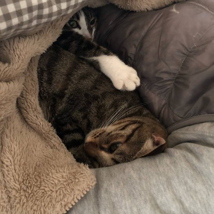 0804eb43 79fa 48ee afa9 814dbe9a89fa 1514956549765