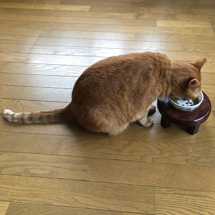 0804f47f d8f3 437d 9c61 fe641b5f19a6 1649365556638