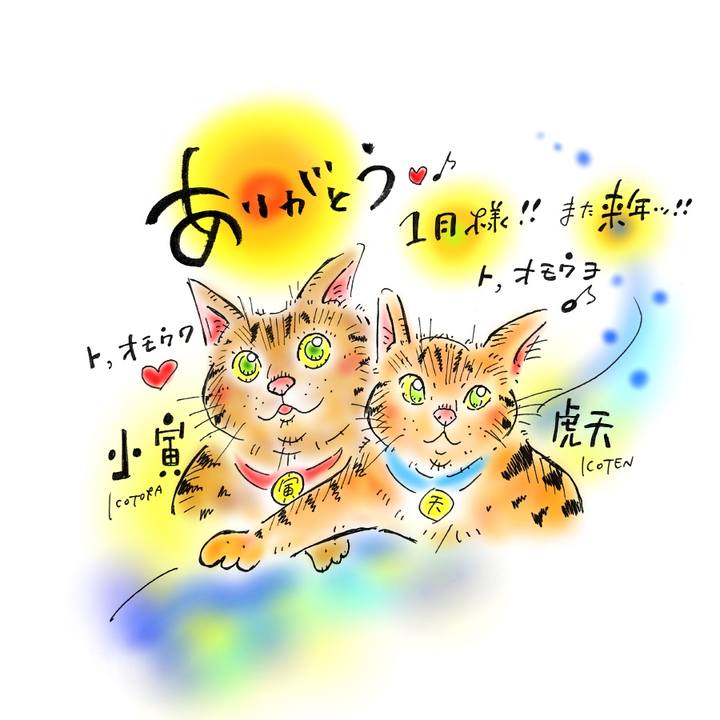 08050ac6 1bf1 430b a008 631d376e6c28 1580490229819