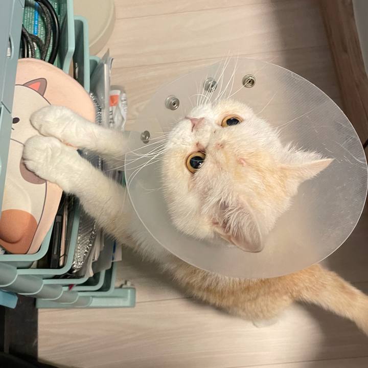 08054100 bed4 4340 bb89 c432692e2462 1762133388613