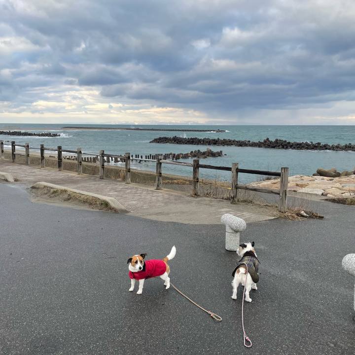 080546ca 3e2f 49aa 8653 6e8a5bfec6d9 1676071866728