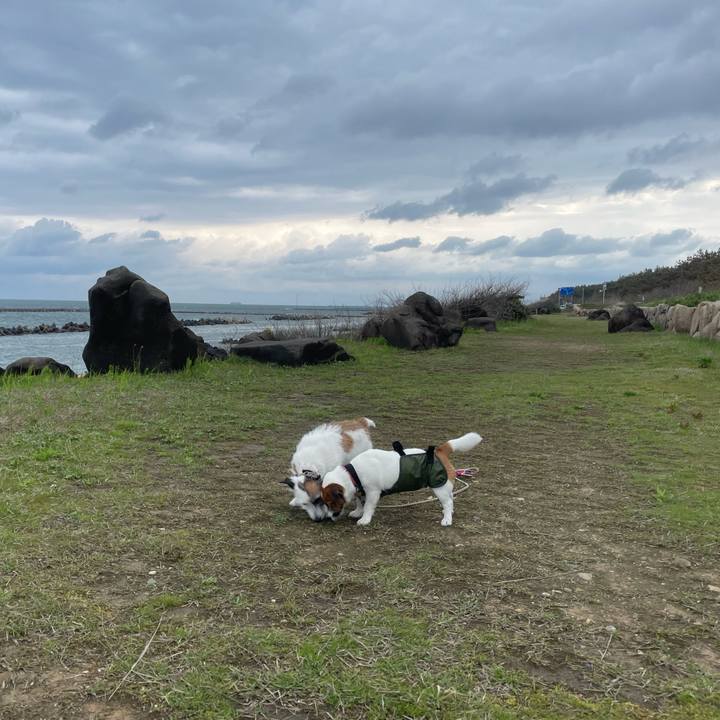 0805837f 34d3 4175 b982 397531ae9300 1745884770598