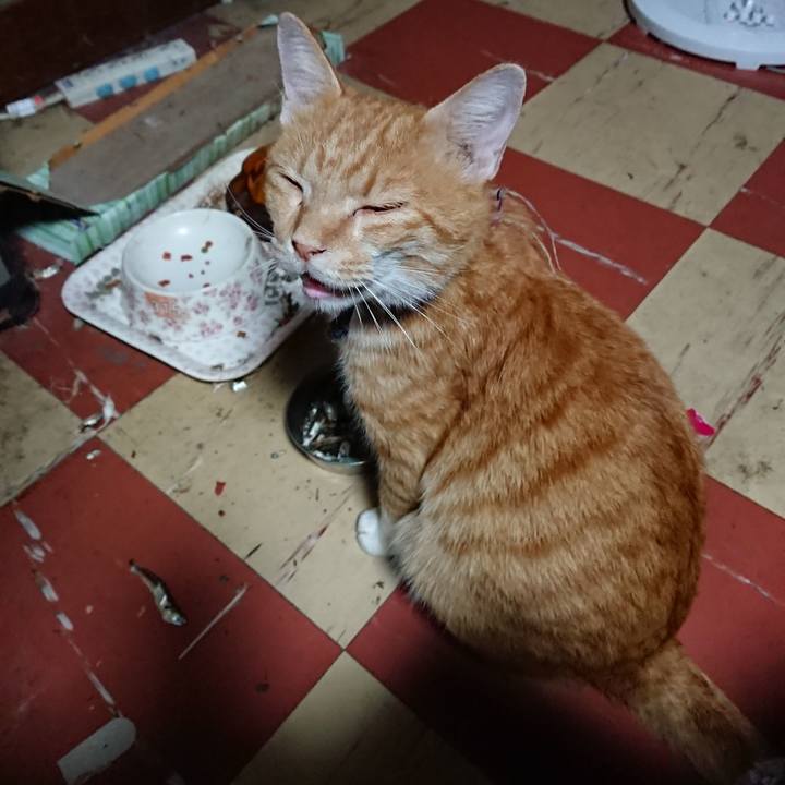 0805901f 1f3b 4b01 98b3 2c82bd1e2aa7 1568231421898