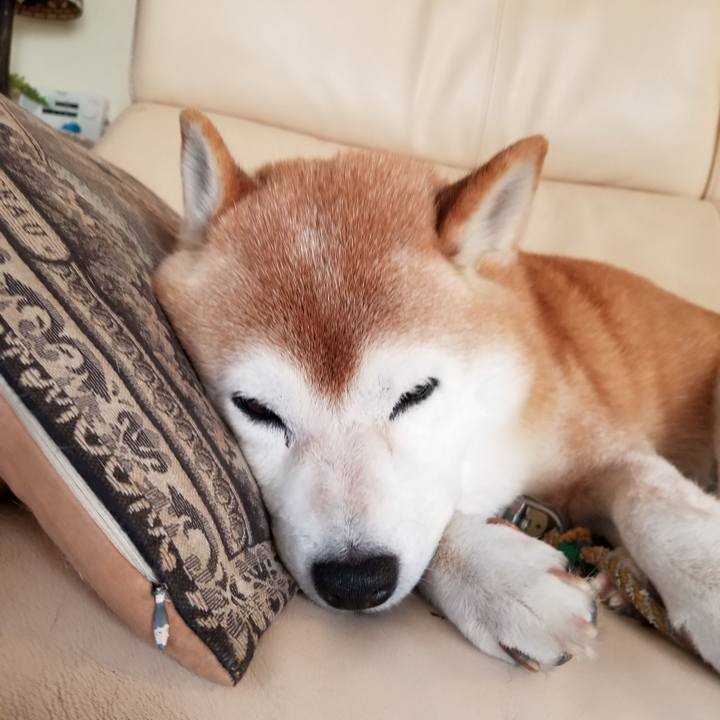 0805982e e99e 48d2 8ec2 0dc655ce56a2 1666134129607