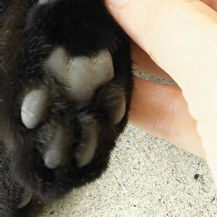 08059e25 1643 448d 80cf 3703c316431a 1539142819133