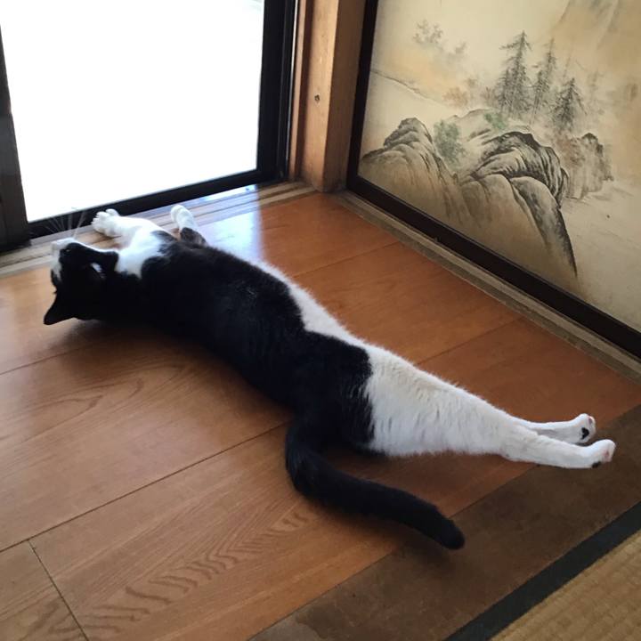 080608f8 cd0c 47cb 9b75 a05cdb03c7e7 1720174485653