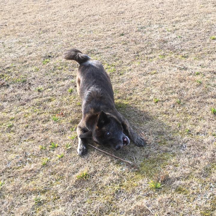 08060cce 17bd 47fb 9581 ca4f8e07d46d 1520430590836