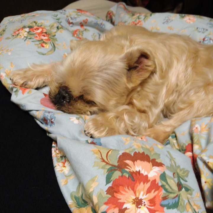 0806157e 88f9 43a4 b932 a5d8c7b5b016 1651412647797