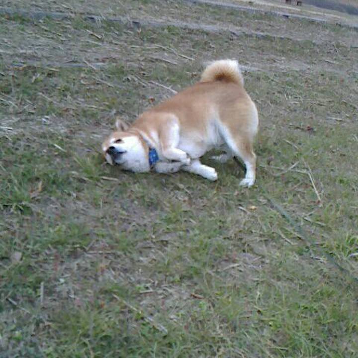 0806514d 6ec3 40a0 901d 923c251ef6e8 1547712712119