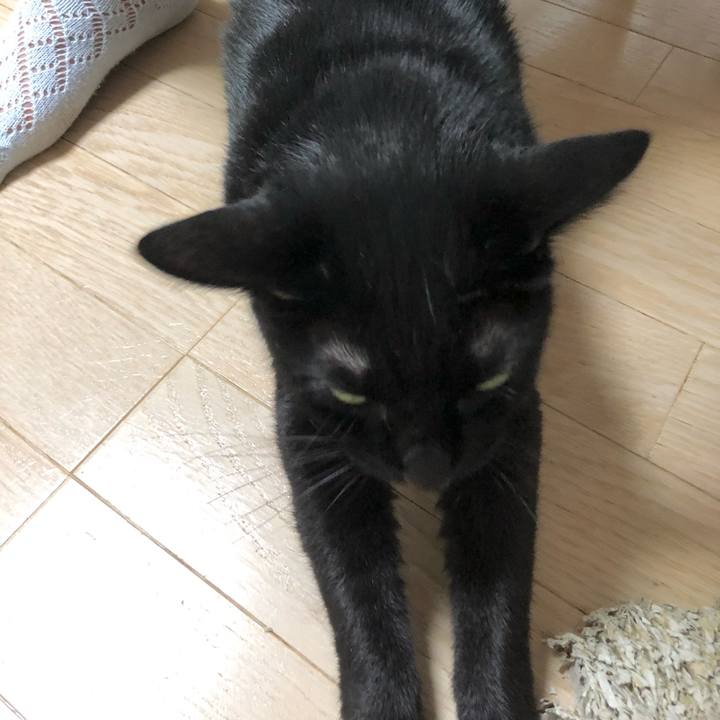 0806a65c c19b 4b3d a4df 497418ebc0ea 1631278258923