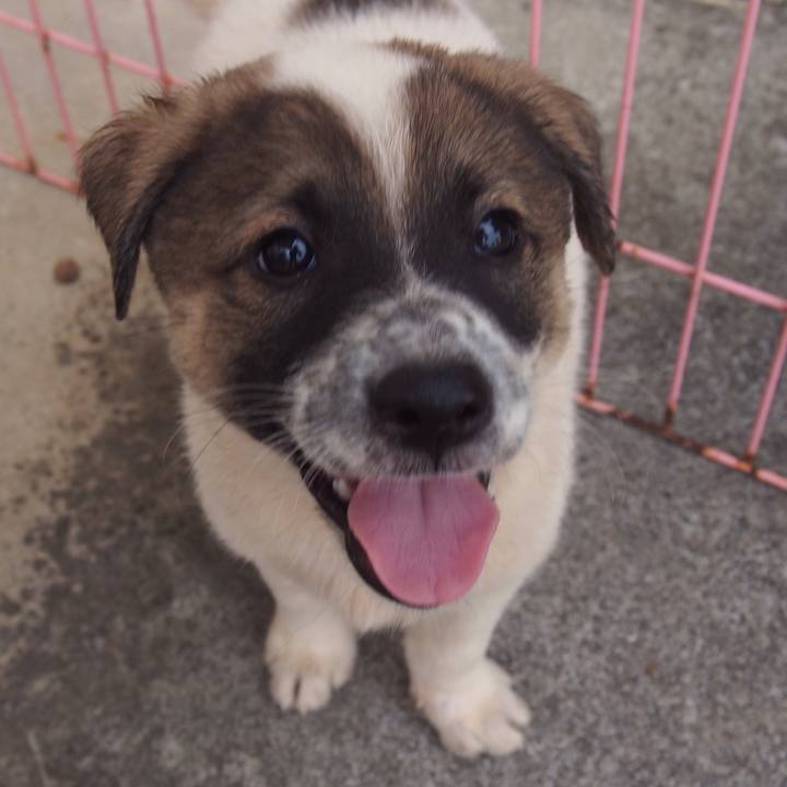 0806a900 48da 4c1e acad 9945b9fa294c 1526886328177