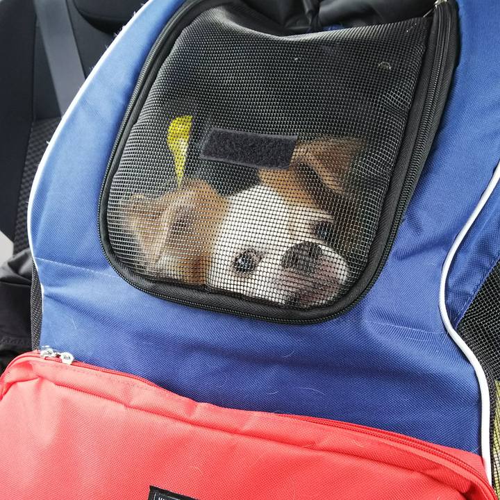 0806ed5f acf7 442f bfe1 426ff4f40097 1531708550405