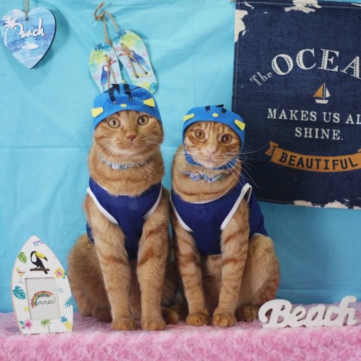 080707f1 0a5c 4a5f aac9 0596e06196fe 1691195553879