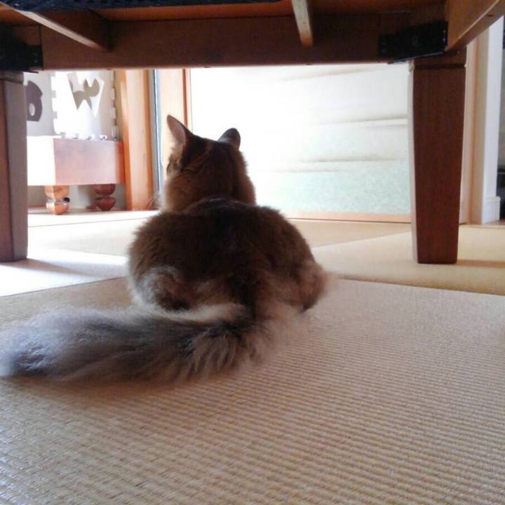 08070ded d3a5 49fe 8943 99033f3121ef 1591167856513