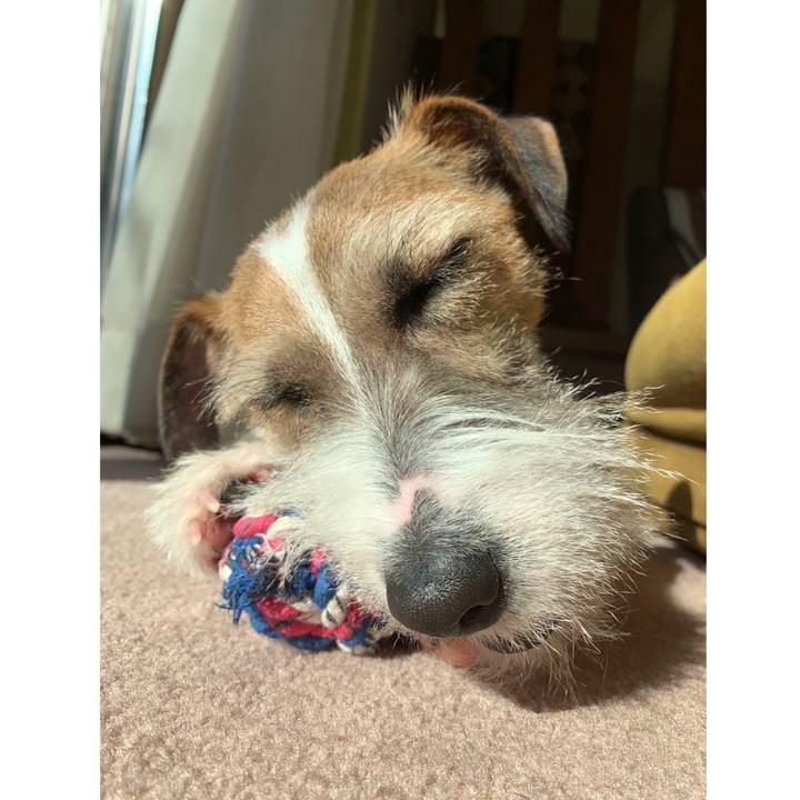 08071120 944a 4c9a b5a1 22cde29a5986 1582433435468