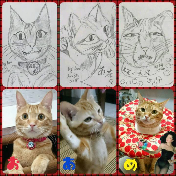 080716e0 ba3f 4a4e 9ba2 7b13ef7bbdea 1653303947579