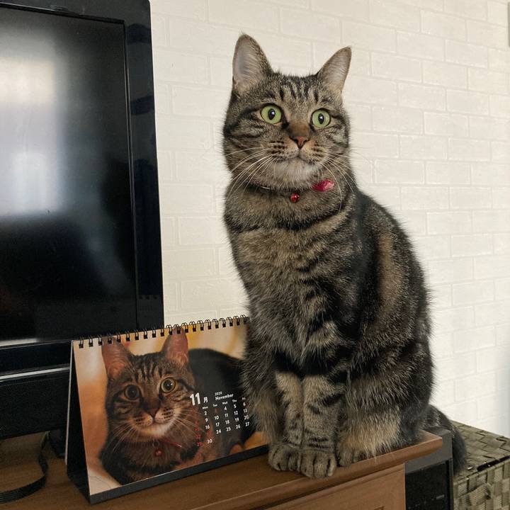 0807359b 00e6 439a 9094 5cdb360f2218 1604530052082