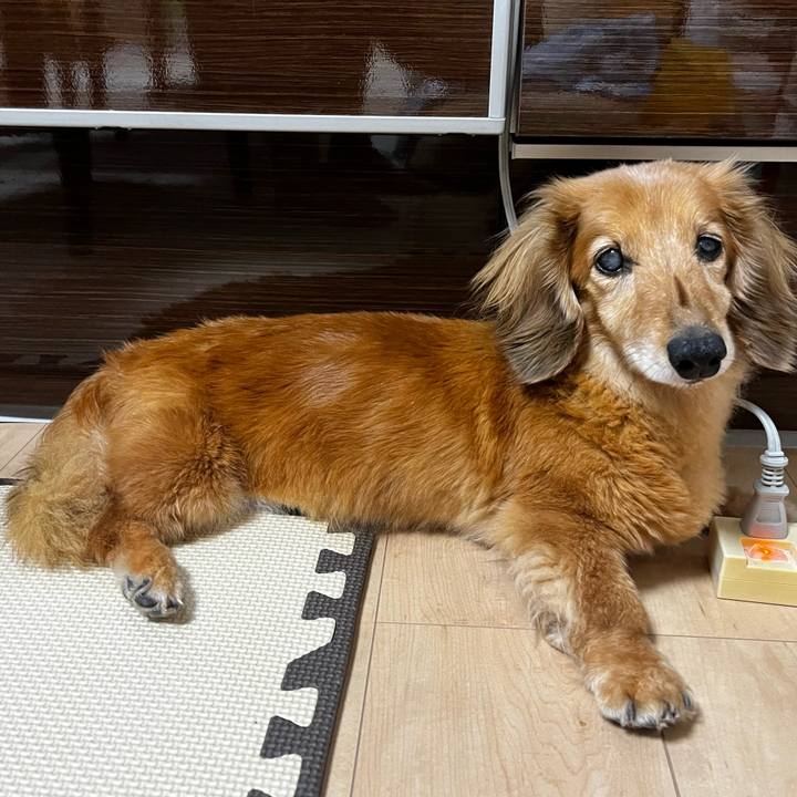 080745cb b9ac 478c 8153 3f62a128f24c 1656416887323