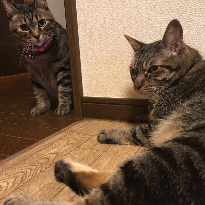 08074b15 bda5 4a41 bb37 afa3c4d95a52 1597062300271