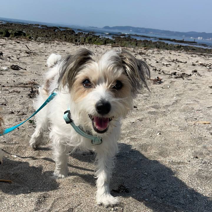 08077905 888d 4a62 bdb2 638e5646a6de 1774168340982