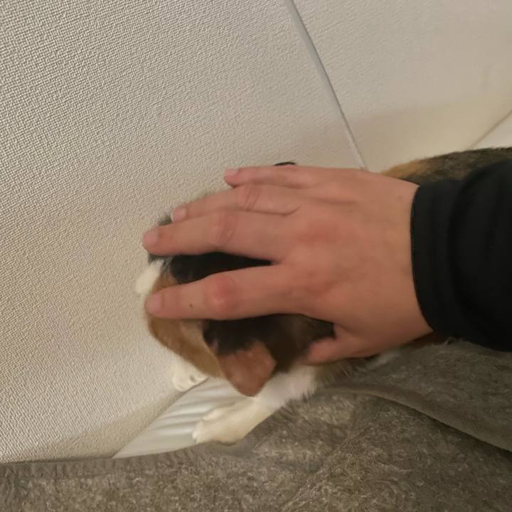 08077fdd 84f6 4dd3 b459 ec565c591115 1674372825269