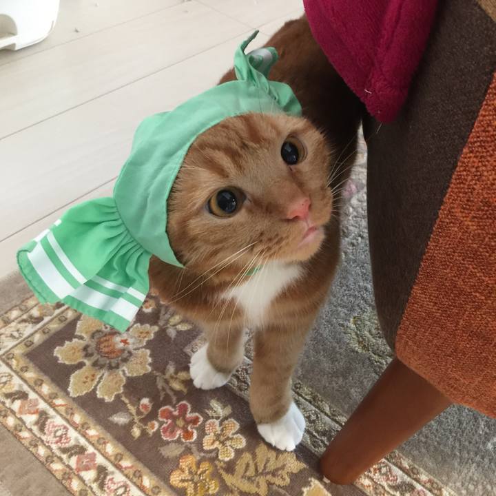 080782a6 bd86 4570 b0ee 2607d904671f 1536457921861