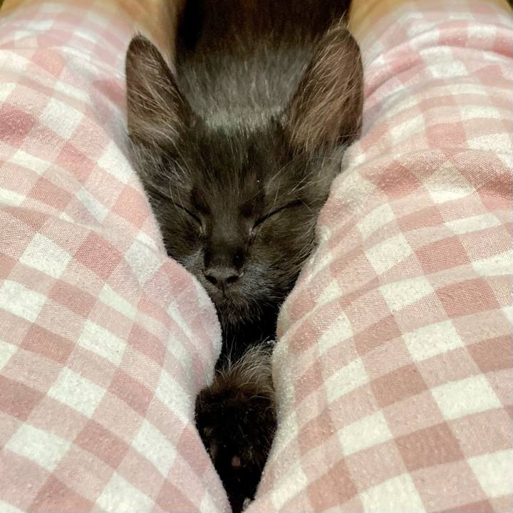 08078c39 a1f3 458e 8c21 8c480d2f3c90 1700313238198