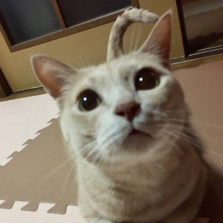 0807d523 fc9b 4509 aae5 c1daf1f4804f 1570866272715