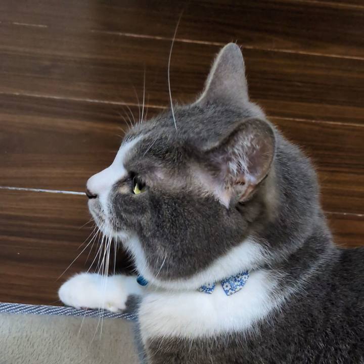 0807e4d8 ffd7 416e b404 27492e1f0b82 1746711667705