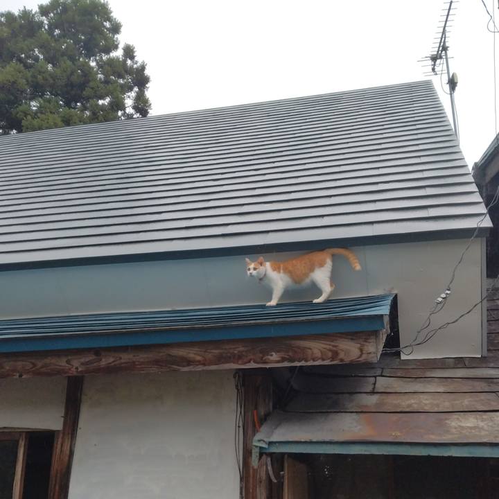 0807f1ac cb55 40c1 afc3 90111d93ce6d 1752529992865