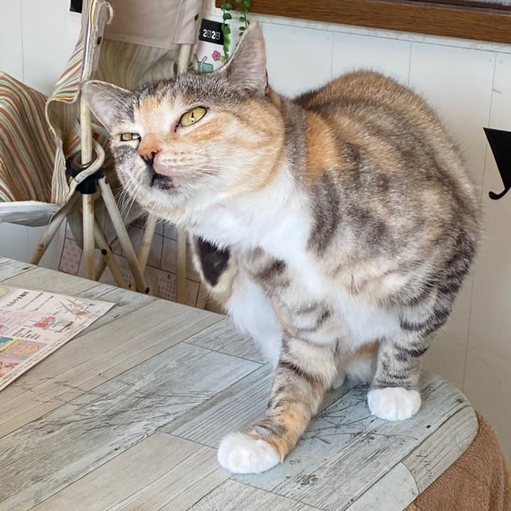 080850fe d059 4251 a891 a0ba94beeaa8 1584329809701